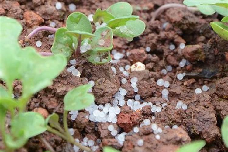 七泽兰芳千里春,潇湘花落石磷磷。