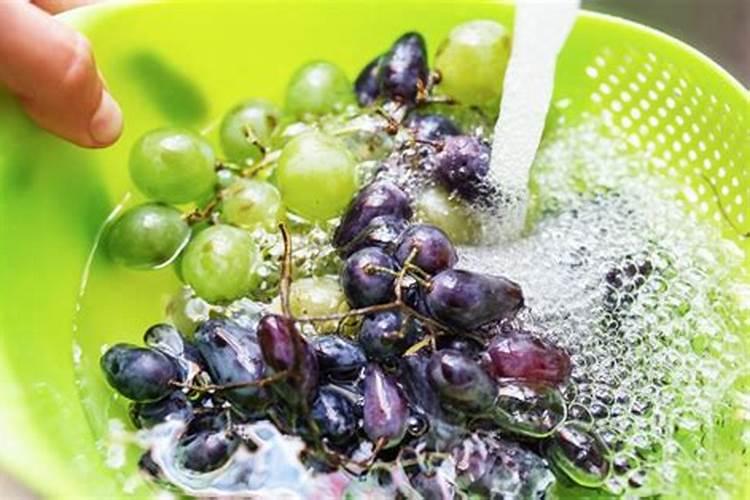 芒果树用什么肥料最好？黑老虎芒果生态种植方案!