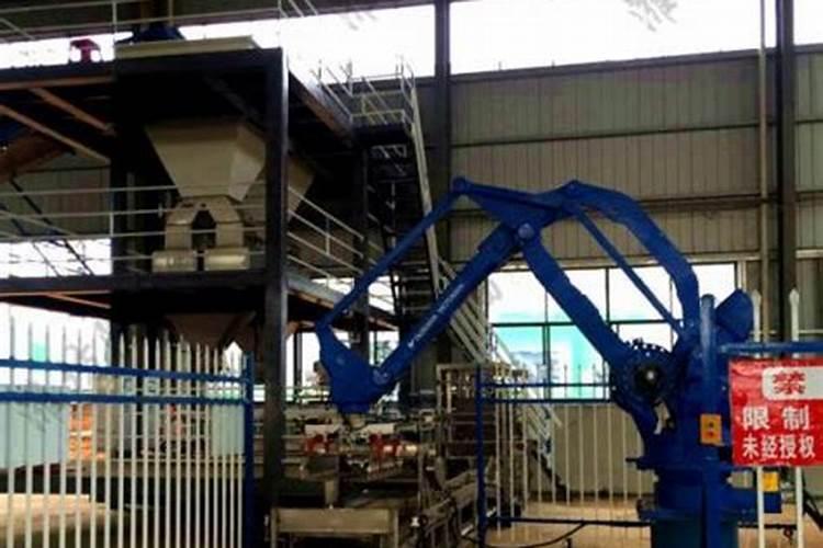 君子兰施什么肥最好