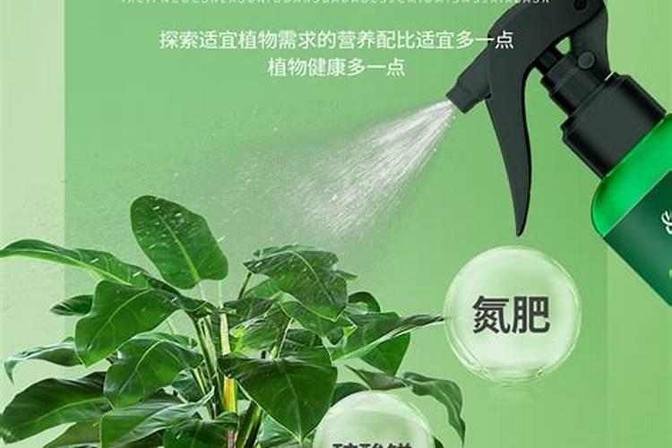 苜蓿打叶面肥用啥肥料