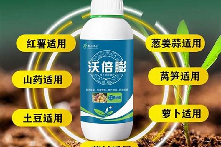 地瓜膨果用哪款水溶肥比较好？