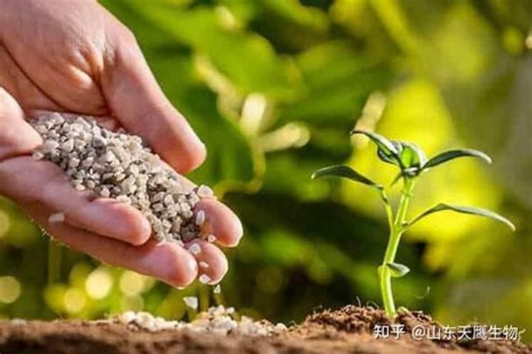 有机肥与无机肥的利弊比较
