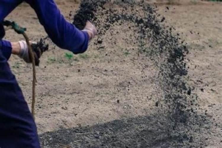 种一亩珍珠李的成本是多少元？