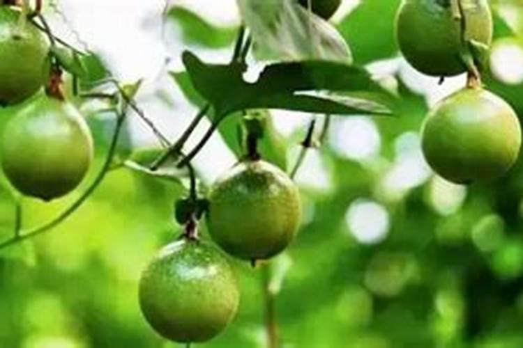 氮肥转化成氨后会被水冲掉吗