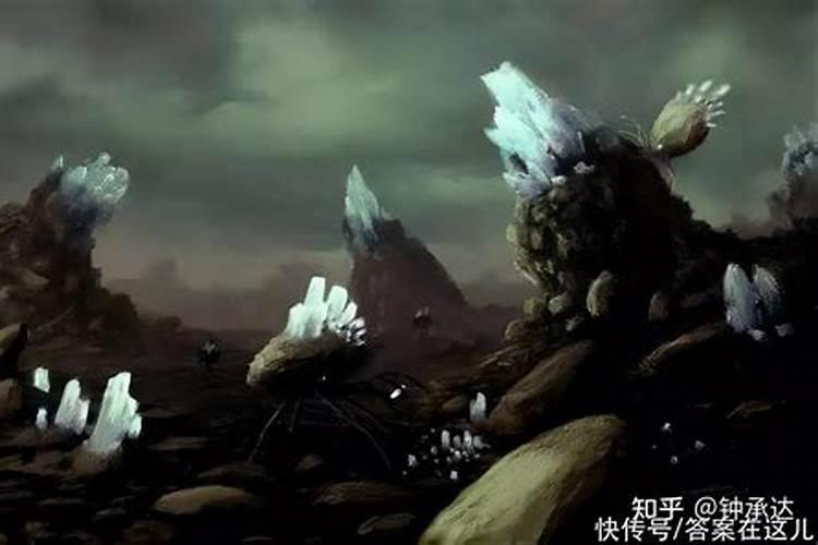 葵花现蕾前期施什么肥好