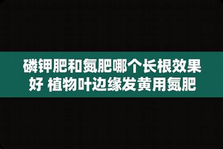 复合肥和复合肥料有什么区别