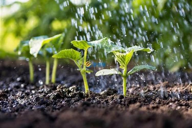 芒硝和硭硝是一回事吗？ 这两个 那个又叫水硝？