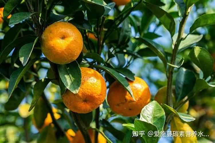 硫酸钾复合肥优缺点