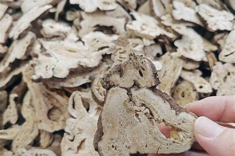 白术根腐病.立枯病怎么办？