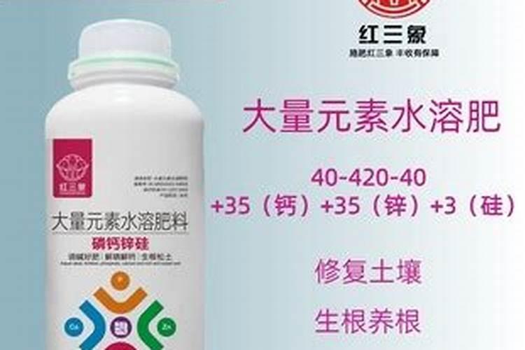 樱桃黄叶病用什么药效果好