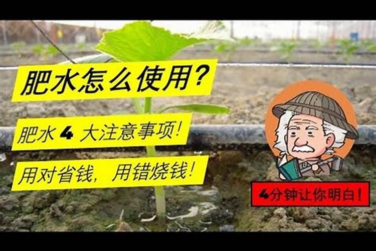 虾塘怎样用磷肥肥水