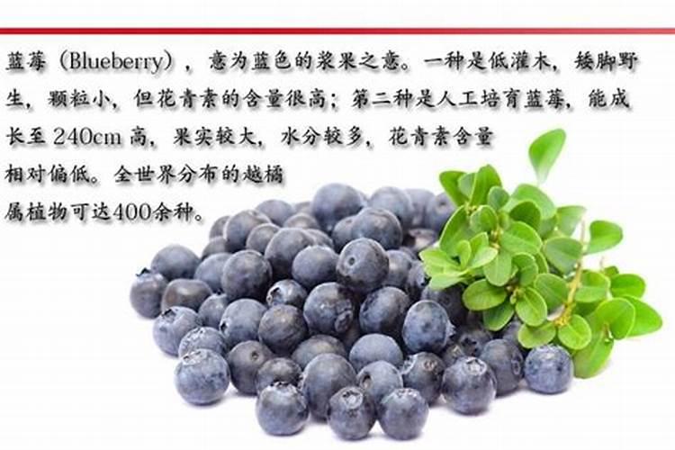 用自制的鱼蛋白浇果树要稀释多少