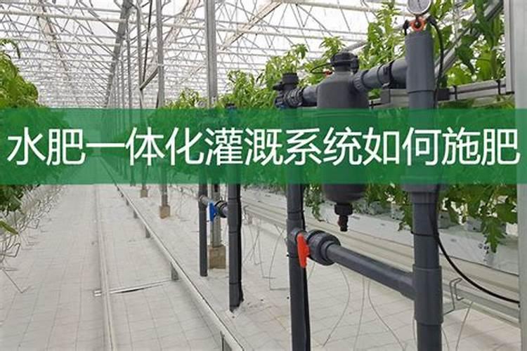 水溶肥冲施正确步骤