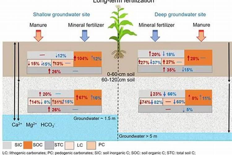秧苗烧苗的补救方法