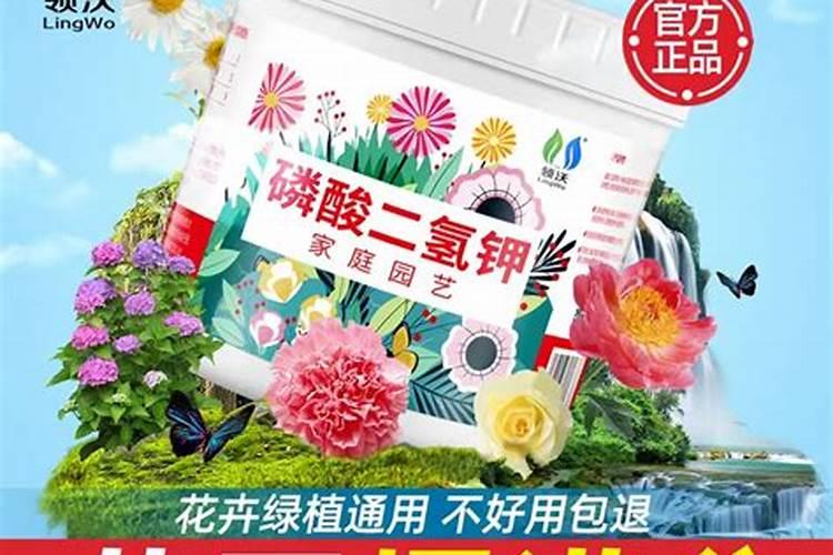 新乡心连心化肥厂好进吗