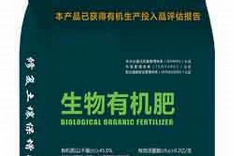 崇州牛尾笋是哪里的特产