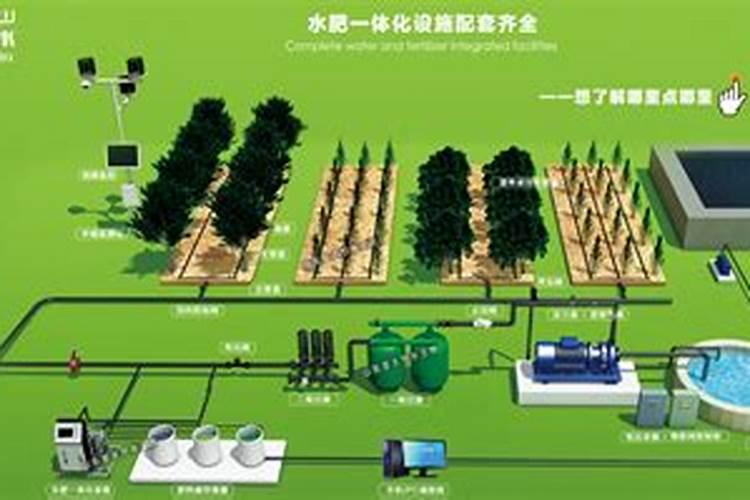 果园冲水施肥正确方法