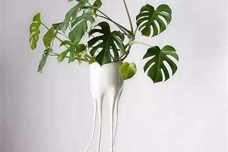 多效唑的作用特点