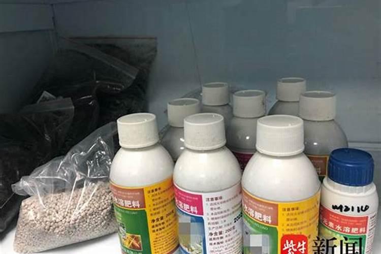 可以把金鱼养在茶水里面吗