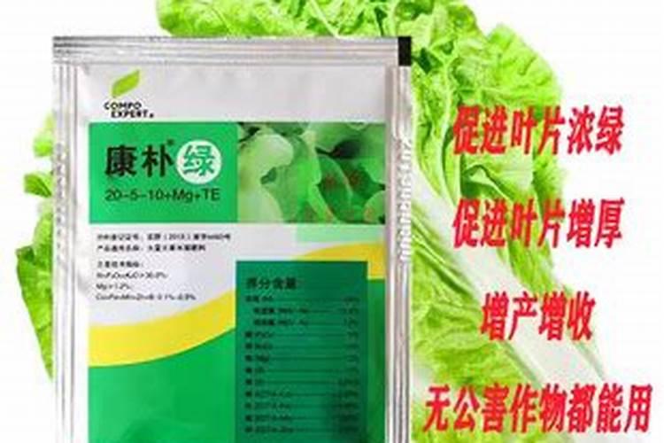 种植小葱怎么管理产量高？小香葱增产有专用叶面肥吗？哪种好