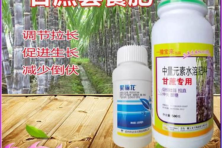 万棵壮丰素与甘蔗宝宝那个效果好