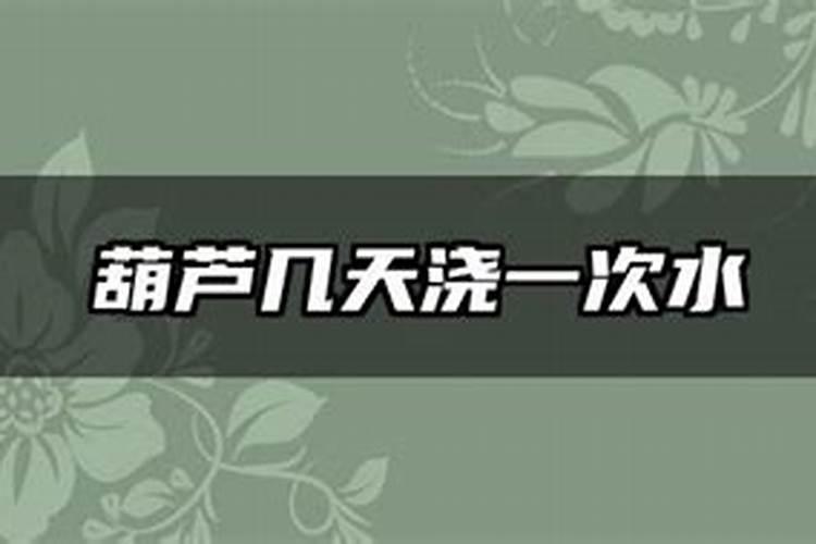 葫芦开花结果要多久？