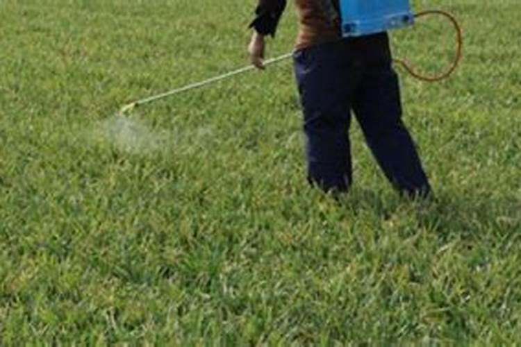 小麦喷施除草剂,加上叶面肥,除草效果会更好吗？