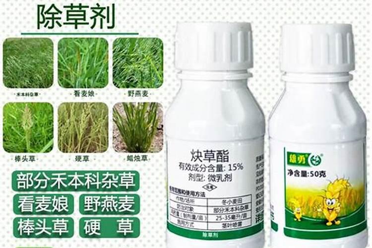 打了除草剂第二天能撒肥料吗