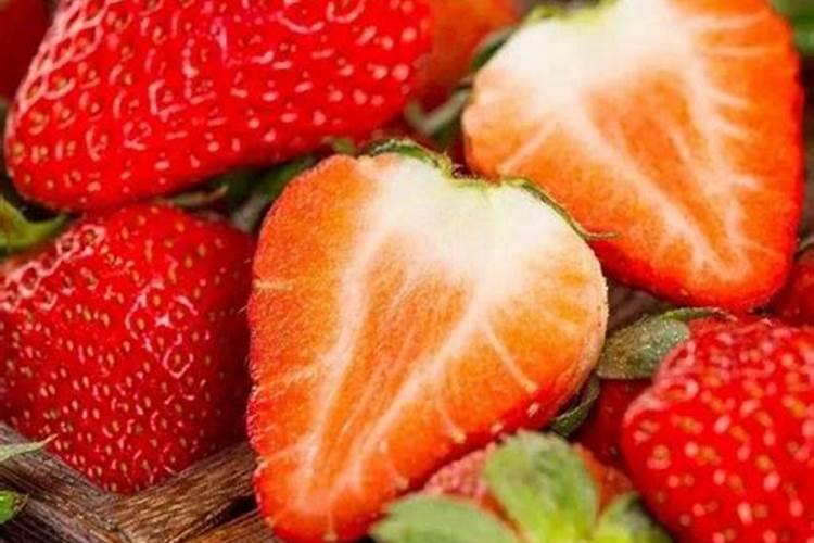 尿液可以浇草莓吗