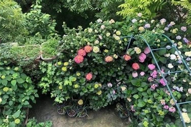 硼肥与锌肥和尿素可以混用吗？望赐教!谢谢