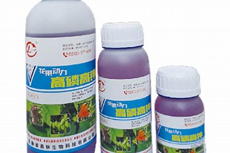 花果用什么肥料