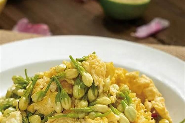 月季什么时候施肥