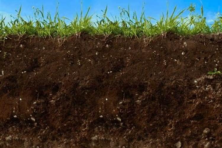 腐殖酸有什么作用