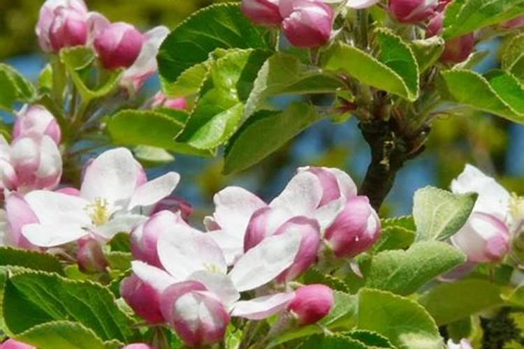 锌的密度是什么呢？