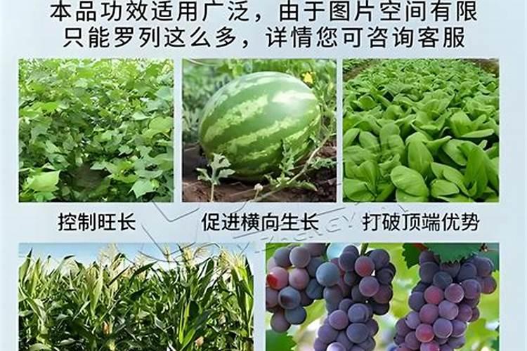 果树催花用什么农药