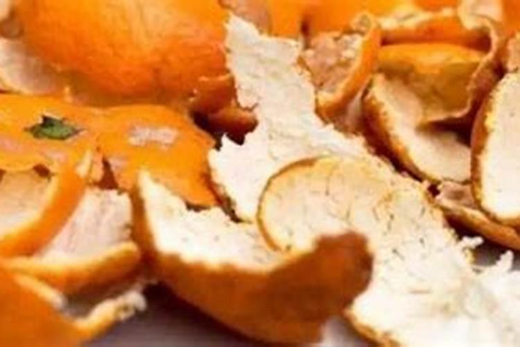 月季花用什么肥料