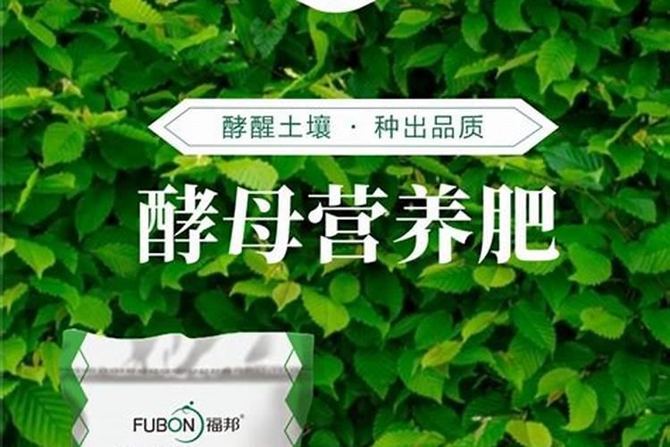 氮肥制作方法 氮肥如何制作