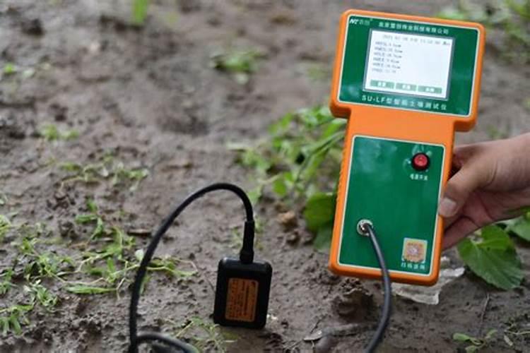 如何检测土壤肥力