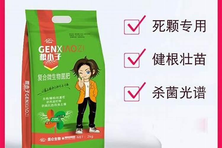 广玉兰移栽后多久成活