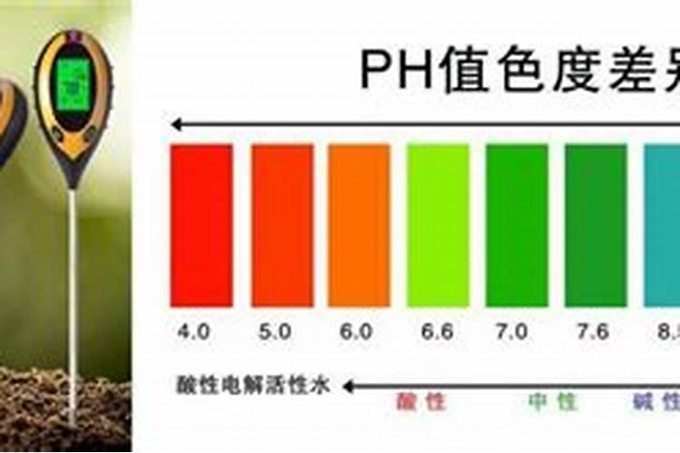 水溶肥十大名牌