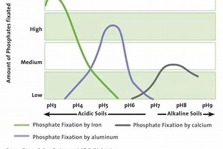 月季施肥方法,用什么肥好