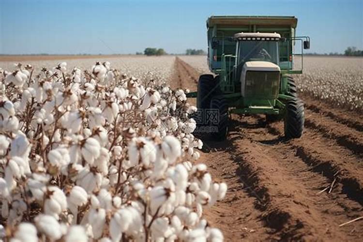 花卉需要什么肥料元素