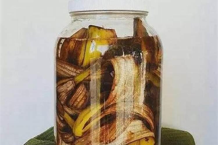 ...厨余垃圾,还有各种果皮,烂菜叶怎么制作水溶肥