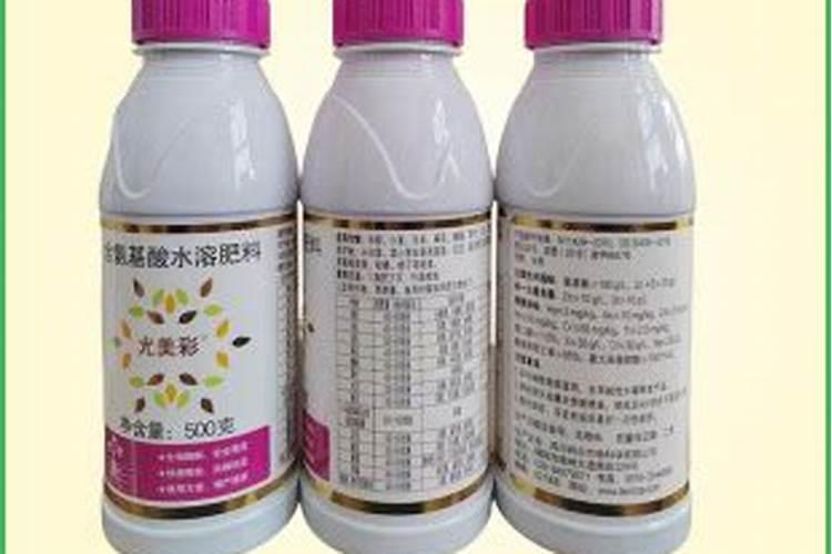 国槐施什么肥最好