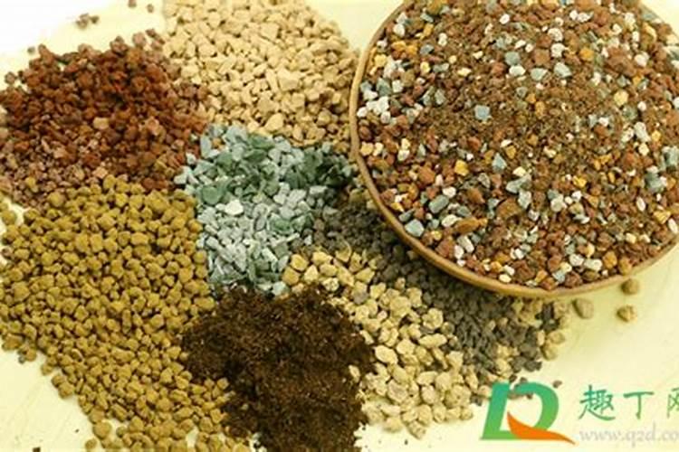 多肉植物施什么肥好