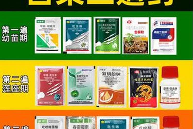 百菌清能打白菜吗