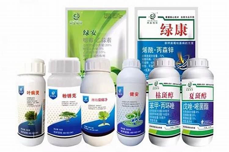 菜打了杀菌药之后下了场雨,究竟还能不能吃？