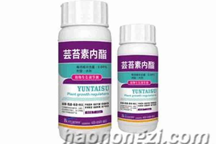 世界上最厉害的猫是什么猫？