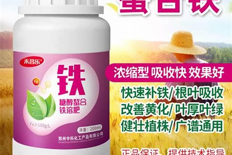 樱桃树叶有斑发黄还落是怎么回事