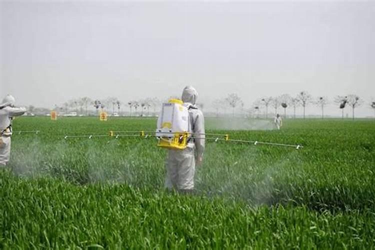 多菌灵用多了会怎么样